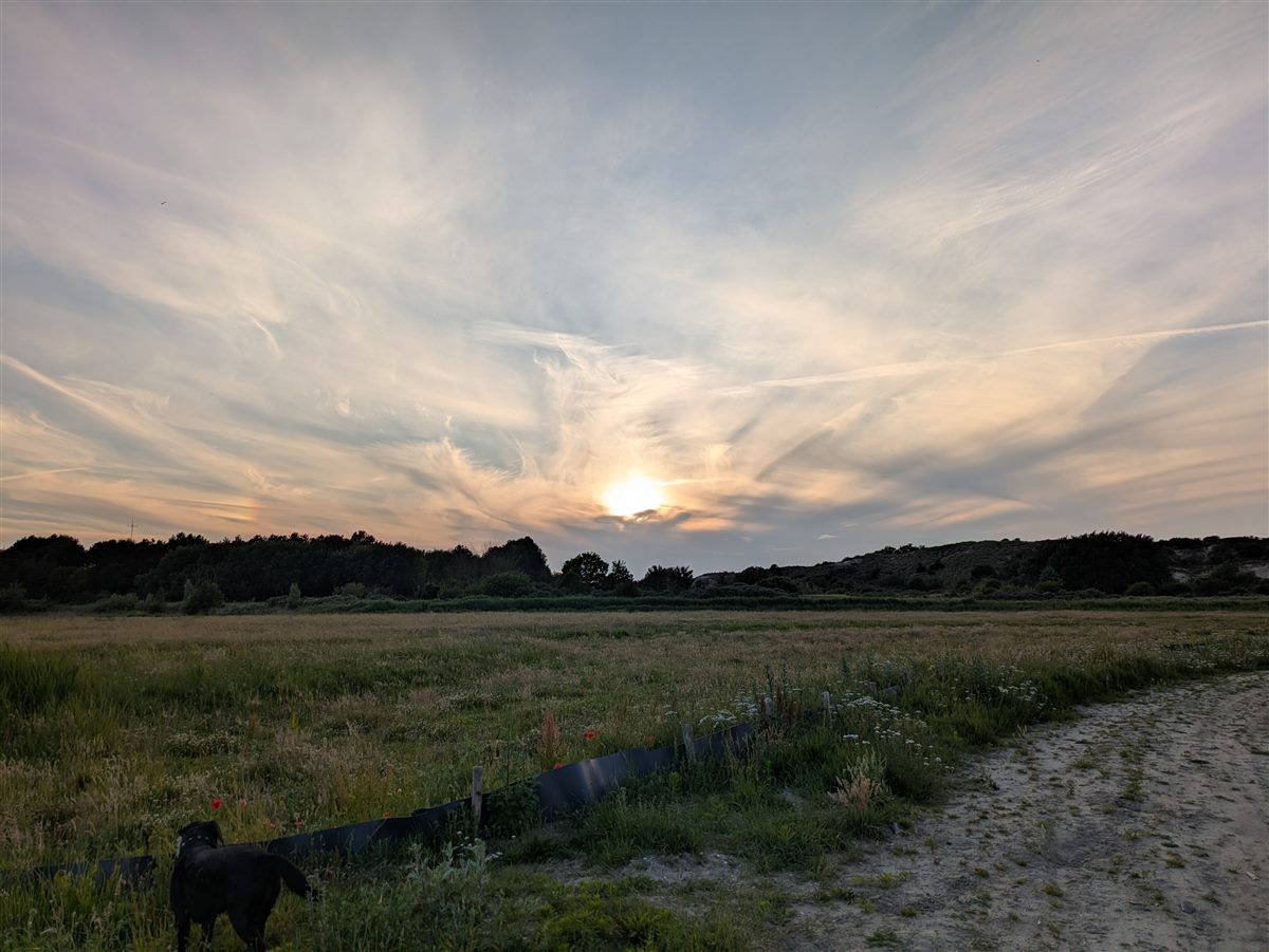 Avondlicht bij de velden en duinen